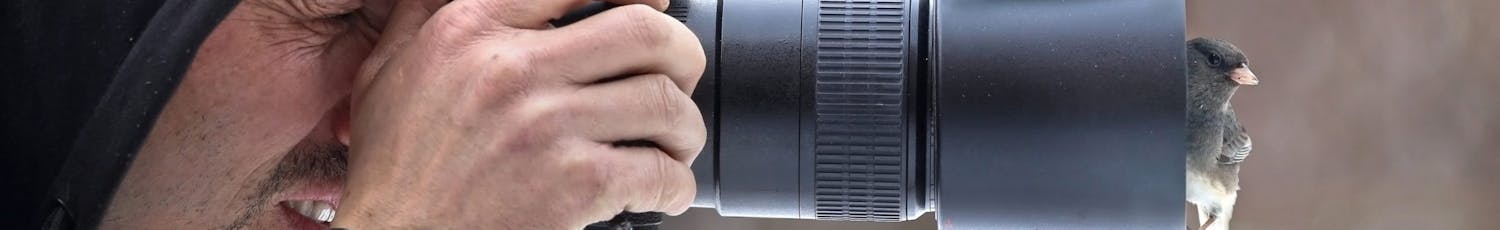 Lintujahdissa Kuvaajalla on lintuja objektiivinsa päällä